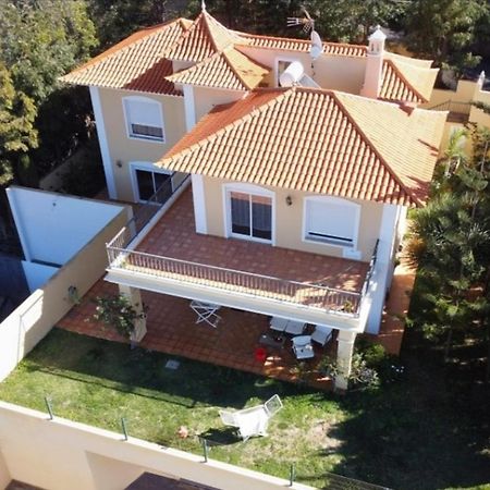 Villa Humboldt Ля Оротава Экстерьер фото